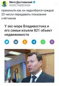 У семьи экс-мэра Владивостока изъяли 821 объект недвижимости