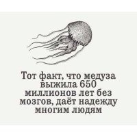 Тут такое дело...