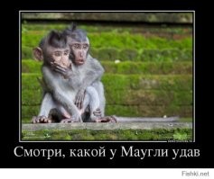 Гигантский змей вцепился в член индонезийского блогера, пока он снимал видео в реке