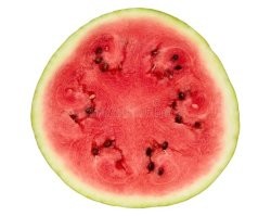 20 разрезов, открывающих невидимый мир обычных предметов