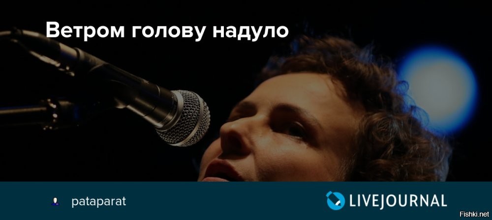 Лишь о политике
