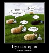 Демотиваторы дня