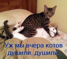 На общую тему&nbsp;