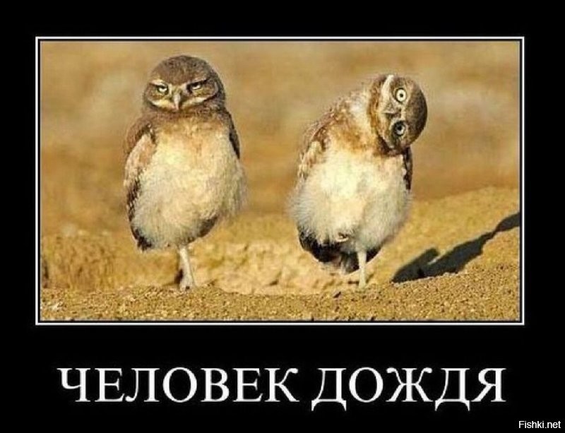 На общую тему&nbsp;