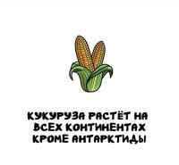 И борщевик Сосновского.