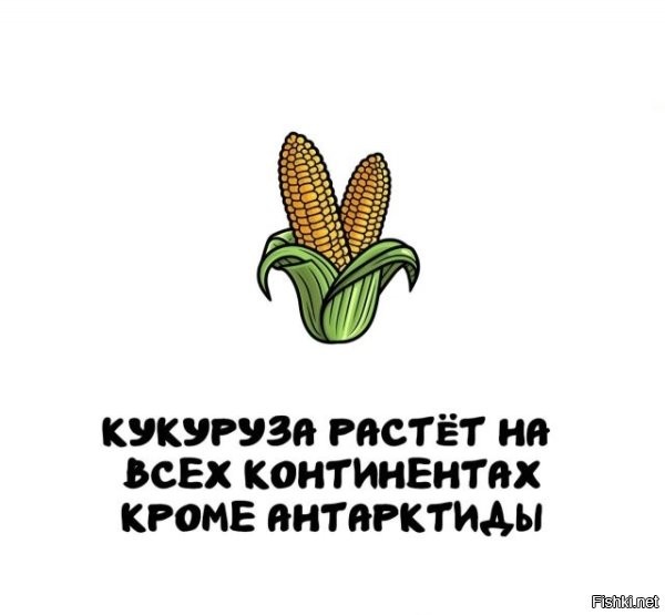 И борщевик Сосновского.