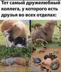 Смешные картинки