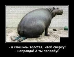 Скрины из соцсетей