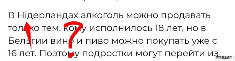 Делит дома пополам: где находится самая необычная граница между странами в мире