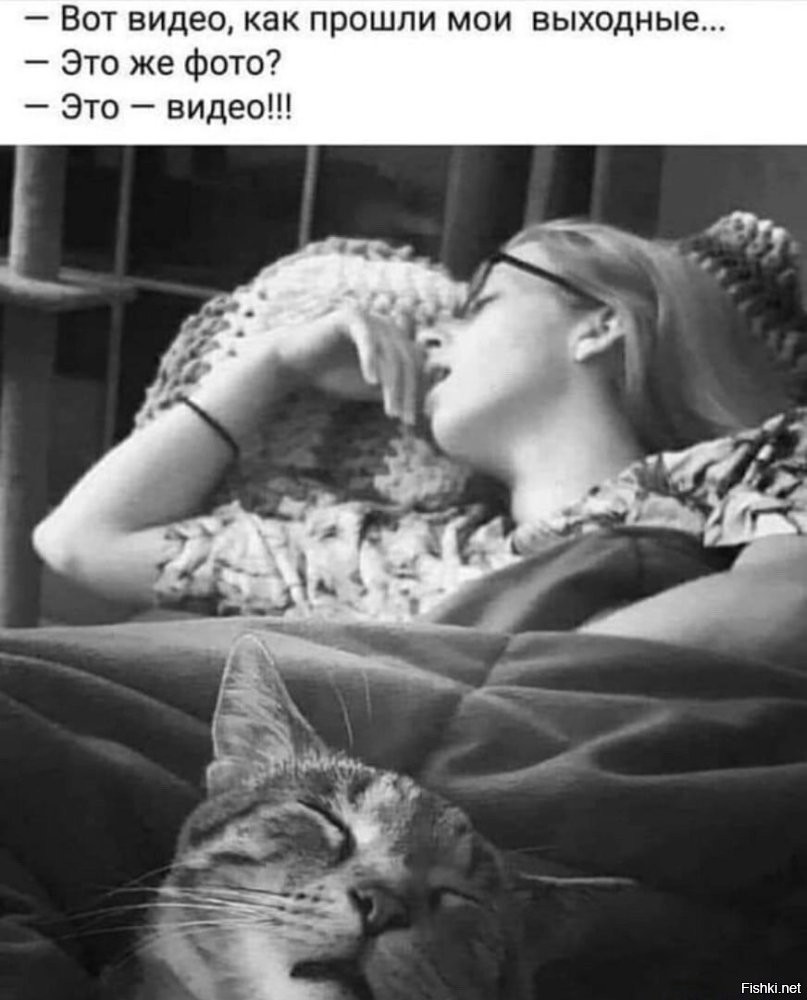 Скрины из соцсетей
