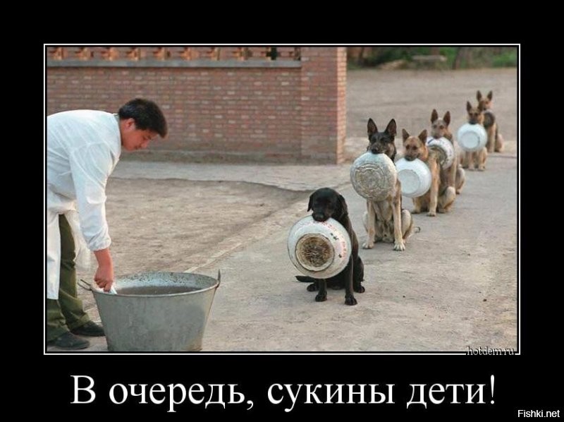 Не ищите здесь смысл. Здесь в основном маразм