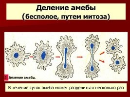 Спасибо сказкам