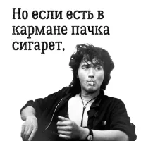 «Отдай, я сказала!»: пенсионерки не поделили пачку сигарет и устроили суету в Питере
