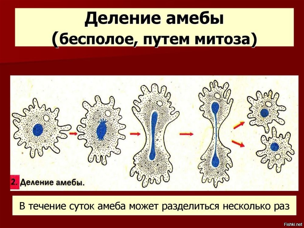 Спасибо сказкам
