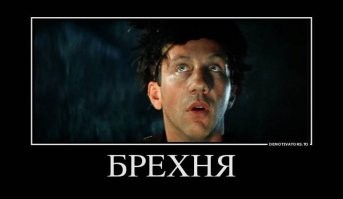 На что способны некоторые чайки ради картошки фри