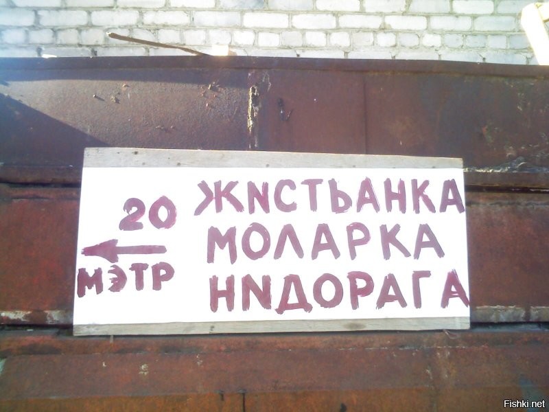 17 странных забавных объявлений, авторы которых не пожалели юморка при их создании