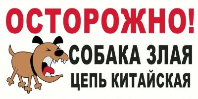 А где комменты зоофобов, что собак надо держать в наморднике и на поводке из колючей проволоки? 

Про кетайскую цепь сработало на 146%
Собака только не злая совсем оказалась.