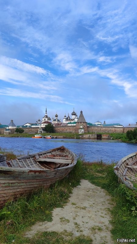 Солянка от 29.07.2025