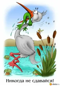 Ядовитая змея и две львицы сошлись в схватке за орла