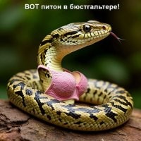 На китайской таможне остановили женщину с питонами в бюстгальтере