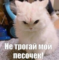 Не ищите здесь смысл. Здесь в основном маразм