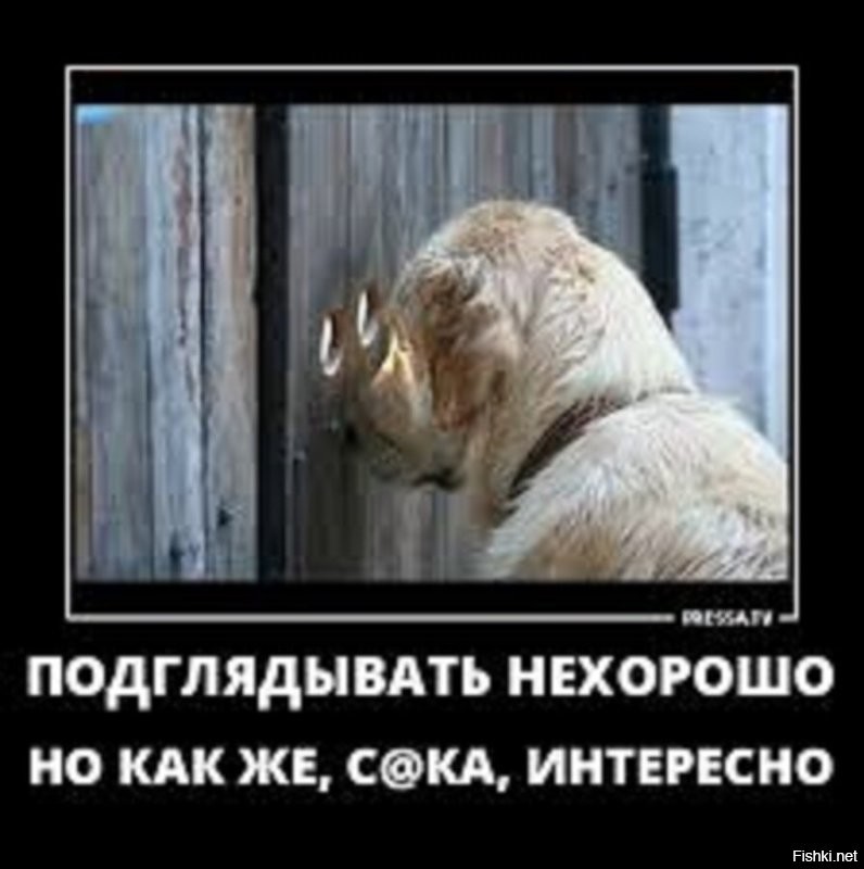 Очарование плацкарта.  Часть 1