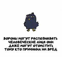 Но в Китае даже вороны ошибаются))