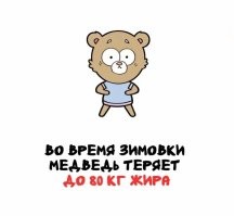 Новый курс похудания. На зиму запихивают медведю в берлогу