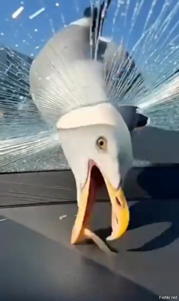 За ВДВ!