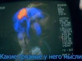 Неожиданное ЧП: хищная птица "отключила" мужчине ТВ-трансляцию