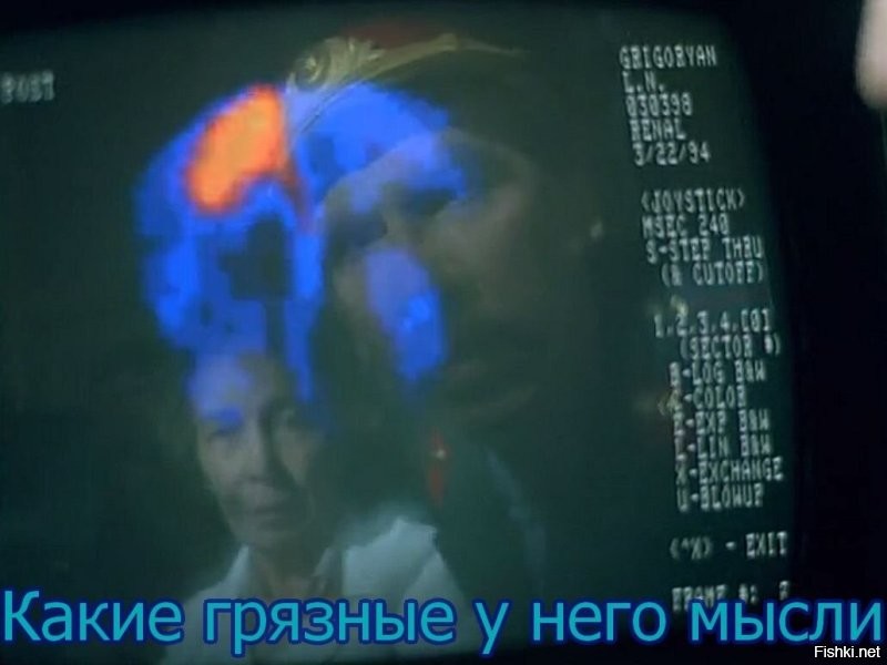 Неожиданное ЧП: хищная птица "отключила" мужчине ТВ-трансляцию