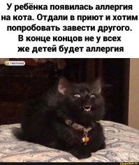 Не ищите здесь смысл. Здесь в основном маразм