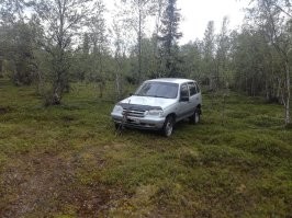Ну хз. Даже если по следам чьим-то хожу, всё-равно насобираю на жарёху.
А так, у меня свои плантации есть. Пешком туда идти далеко, а назад грибы нести тяжело. А Нива туда доезжает без проблем.  Делаешь небольшой круг по лесу и уже подходя к машине начинаешь выбрасывать грибы, чтобы взять более молодые и крепкие.