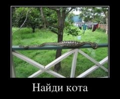 Нападение крупной змеи на мужчину попало на видео