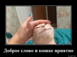 С инспекторами ГИБДД надо быть вежливыми