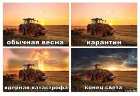 Смешные картинки