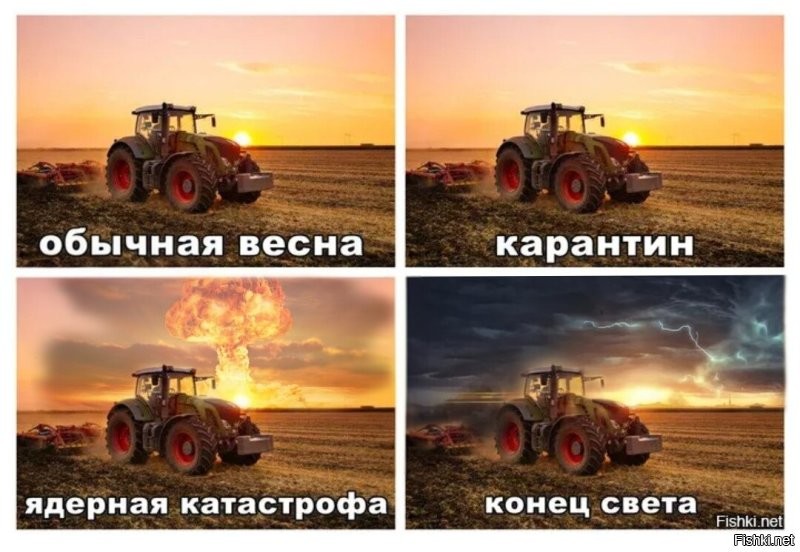 Смешные картинки