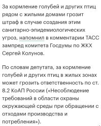 Рисковая...