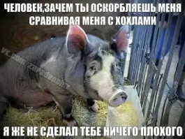 О политике и не только