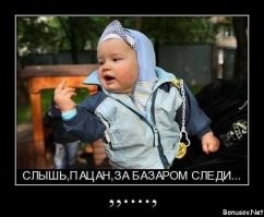 О политике и не только