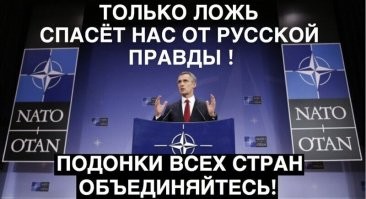 О политике и не только