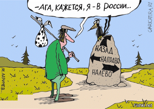 Солянка от 31.07.2025