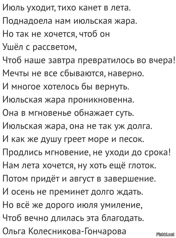 Солянка от 31.07.2025