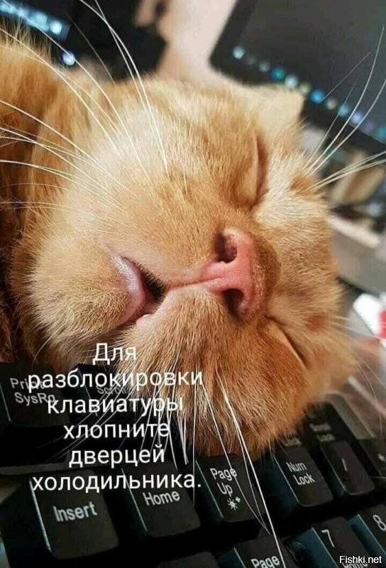Доброе утро