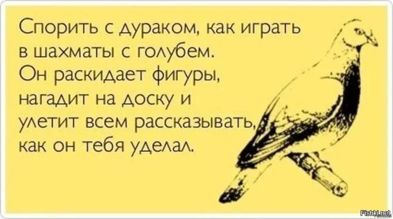 Лети, голубок.
