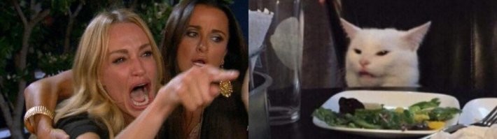 Конечно же кот)