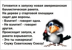 "Отличный результат!": первая орбитальная ракета Австралии взорвалась через 14 секунд после запуска