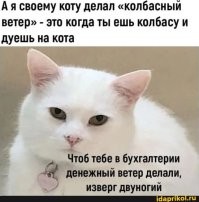 Не ищите здесь смысл. Здесь в основном маразм
