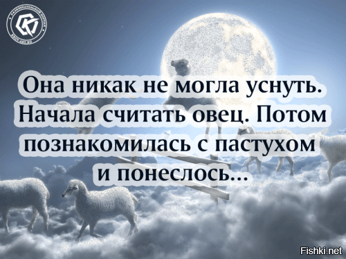 Солянка от 30.07.2025