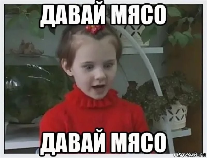 Недовольная, но культурная сова